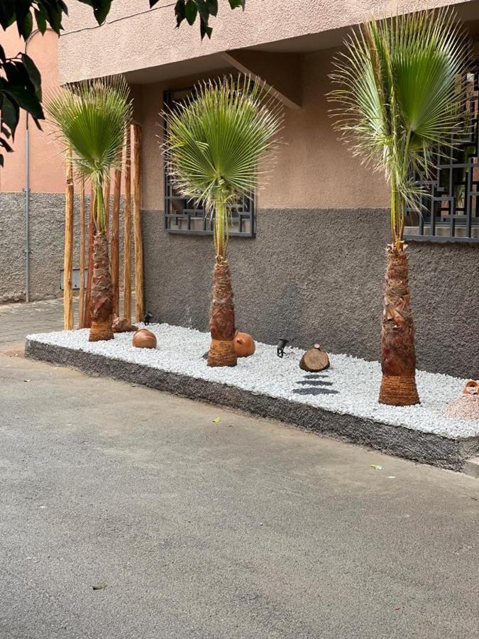 Riad La Petite Majorelle Marakeş Dış mekan fotoğraf