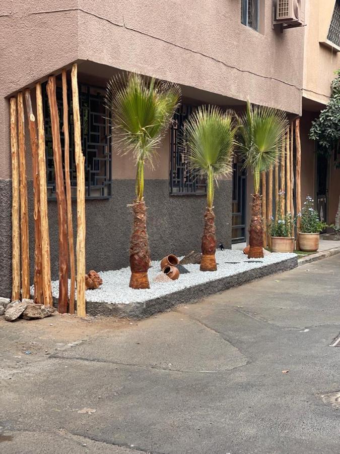 Riad La Petite Majorelle Marakeş Dış mekan fotoğraf